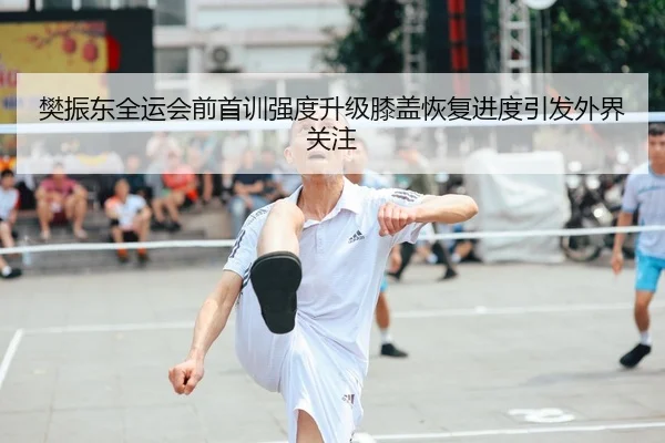 樊振东全运会前首训强度升级膝盖恢复进度引发外界关注